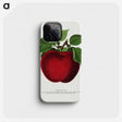 1-23_Botanical-Specimen-Plates_phone