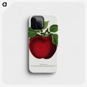 1-23_Botanical-Specimen-Plates_phone