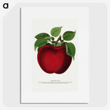 1-23_Botanical-Specimen-Plates_picture