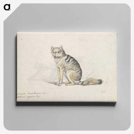 1-23_Charles-Hamilton-Smith_canvas