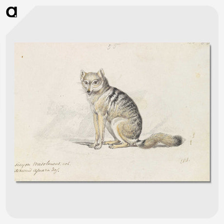 1-23_Charles-Hamilton-Smith_picture-crop