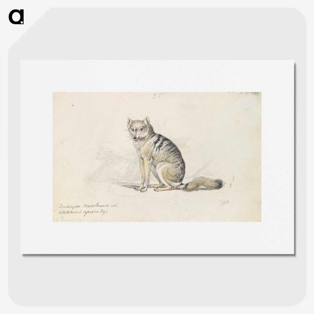 1-23_Charles-Hamilton-Smith_picture