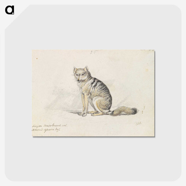 1-23_Charles-Hamilton-Smith_postcard