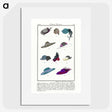 1-23_Charles-Martin_picture