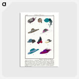 アートポストカード-Accessories
 - シャルル マルタン Postcard.