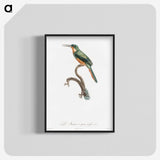 1-23_Des-Oiseaux-de-Paradis_blk-crop