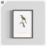 1-23_Des-Oiseaux-de-Paradis_blk