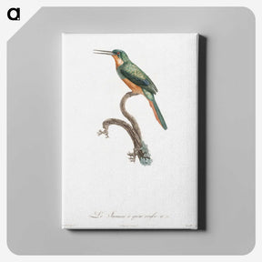 1-23_Des-Oiseaux-de-Paradis_canvas