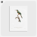 1-23_Des-Oiseaux-de-Paradis_hagaki