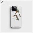 1-23_Des-Oiseaux-de-Paradis_phone