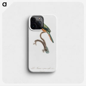 1-23_Des-Oiseaux-de-Paradis_phone