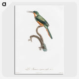 1-23_Des-Oiseaux-de-Paradis_picture-crop