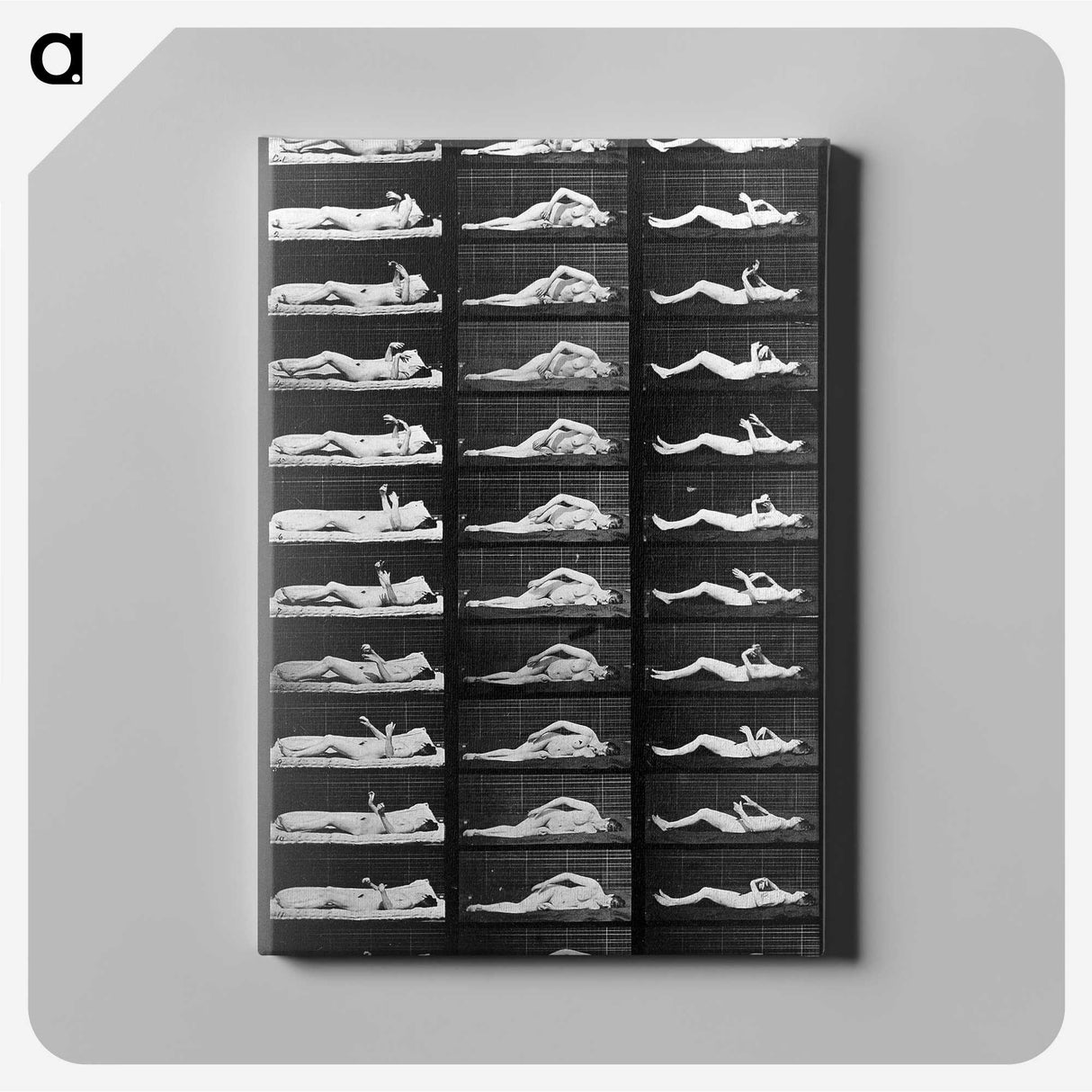 1-23_Eadweard-Muybridge_canvas