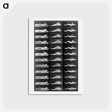 アートポストカード-Convulsions
 - エドワード マイブリッジ Postcard.