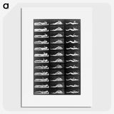 1-23_Eadweard-Muybridge_picture