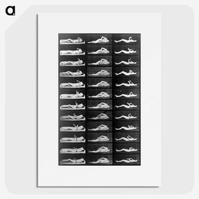 1-23_Eadweard-Muybridge_picture