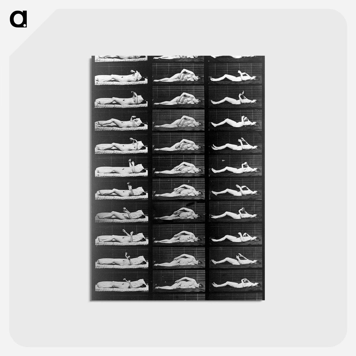 アートポストカード-Convulsions
 - エドワード マイブリッジ Postcard.