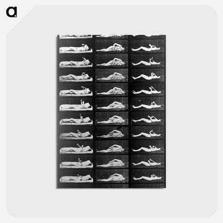 アートポストカード-Convulsions
 - エドワード マイブリッジ Postcard.