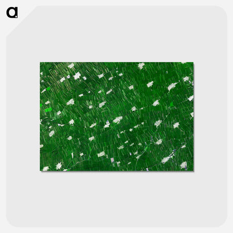 アートポストカード-Heilongjiang Province from Space
 - 上空からの地球 Postcard.