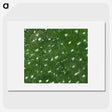 1-23_Earth-from-Above_picture