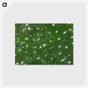 1-23_Earth-from-Above_postcard