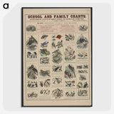 1-23_Education-Charts_picture-crop