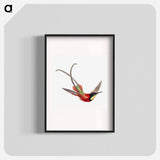 Colorful vintage hummingbird illustration - エルンスト ヘッケル Poster.