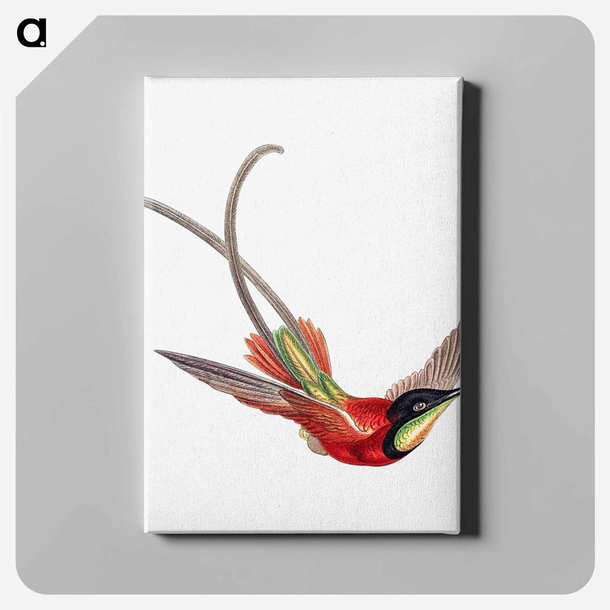 Colorful vintage hummingbird illustration - エルンスト ヘッケル Canvas.
