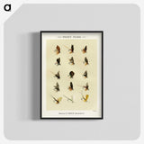 1-23_Favorite-Flies-and-Their-History_blk-crop