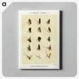 1-23_Favorite-Flies-and-Their-History_canvas