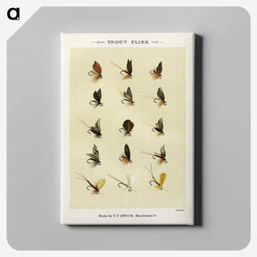 1-23_Favorite-Flies-and-Their-History_canvas