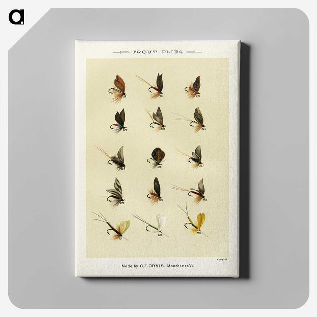 1-23_Favorite-Flies-and-Their-History_canvas