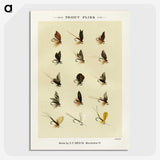 1-23_Favorite-Flies-and-Their-History_picture-crop