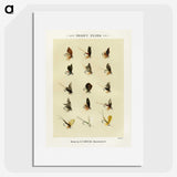 1-23_Favorite-Flies-and-Their-History_picture