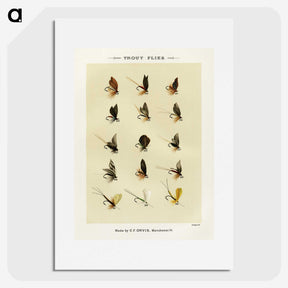 1-23_Favorite-Flies-and-Their-History_picture