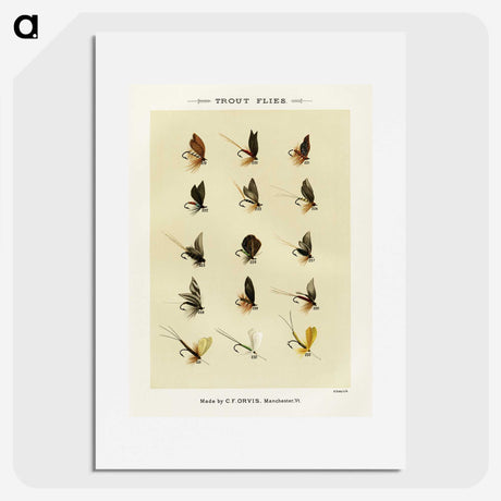 1-23_Favorite-Flies-and-Their-History_picture