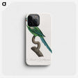 1-23_Francois-Levaillant_phone