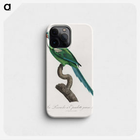 1-23_Francois-Levaillant_phone