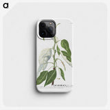 1-23_Georg-Dionysius-Ehret_phone