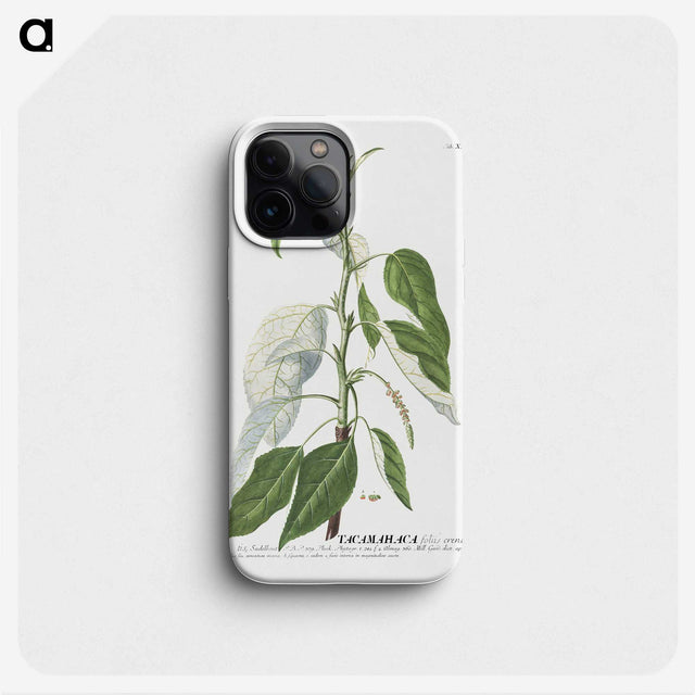 1-23_Georg-Dionysius-Ehret_phone