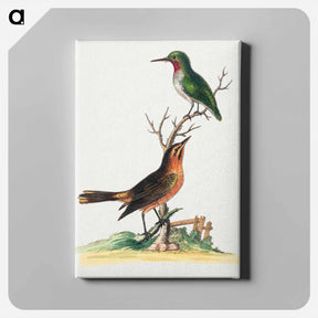 アートパネル-Birds by Edwards
 - ジョージ エドワーズ Canvas.