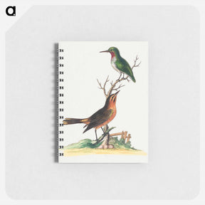 アートメモ帳-Birds by Edwards
 - ジョージ エドワーズ Memo.