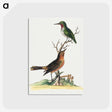 1-23_George-Edwards_postcard