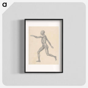 アートポスター-Human Figure, Lateral View
 - ジョージ スタッブス Poster.