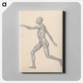 アートパネル-Human Figure, Lateral View
 - ジョージ スタッブス Canvas.