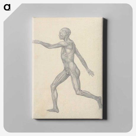1-23_George-Stubbs_canvas