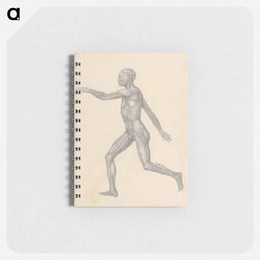 アートメモ帳-Human Figure, Lateral View
 - ジョージ スタッブス Memo.