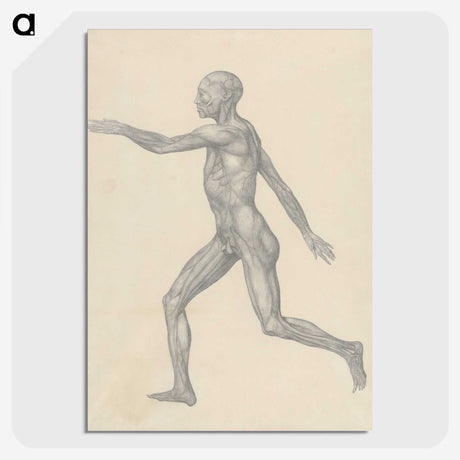 1-23_George-Stubbs_picture-crop