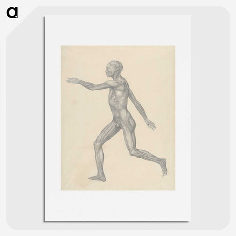 1-23_George-Stubbs_picture