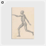 アートポストカード-Human Figure, Lateral View
 - ジョージ スタッブス Postcard.